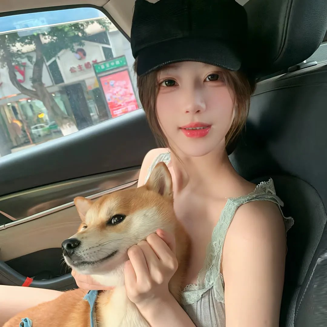 晴晚之林