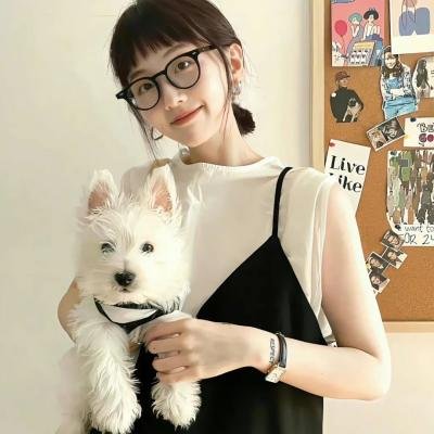 狐狸女士第二季